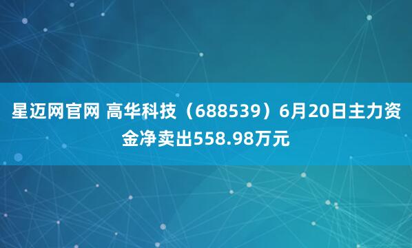 星迈网官网 高华科技（688539）6月20日主力资金净卖出558.98万元