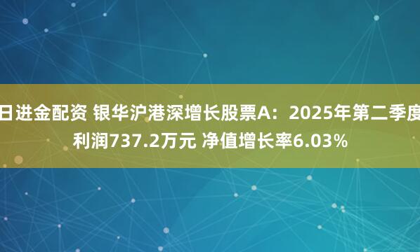 日进金配资 银华沪港深增长股票A：2025年第二季度利润737.2万元 净值增长率6.03%